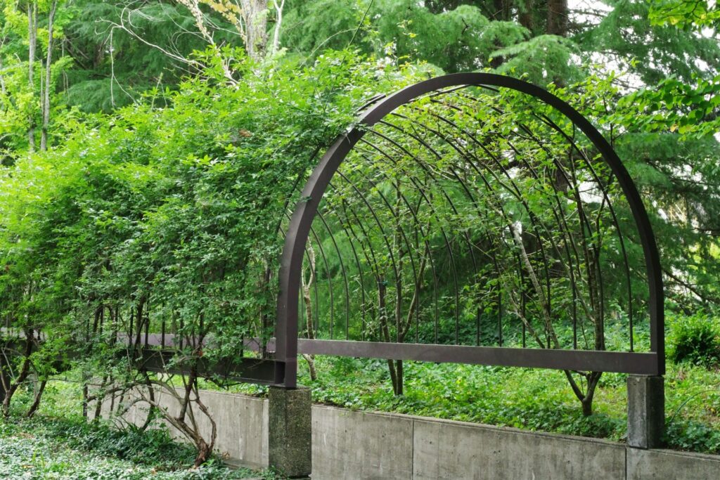 Metalen element in boogvorm met klimplanten, geplaatst in een groene bostuin