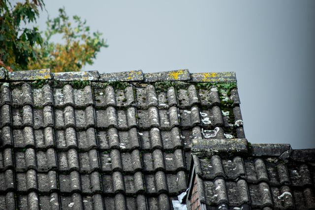 Groene aanslag en hardnekkig vuil op de gevel goed aanpakken